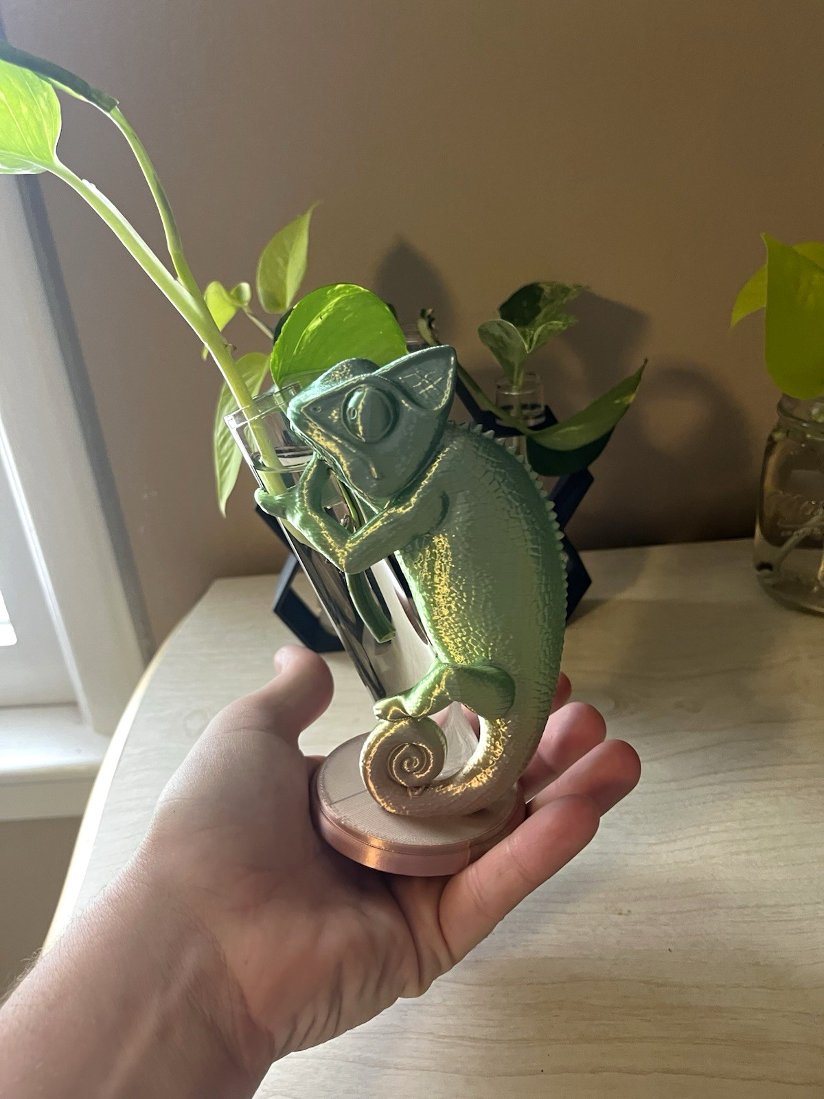 Chameleon propagation station