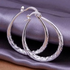 High quality 925 Sterling Silver Jewelry beautiful Earrings For women fashion picture