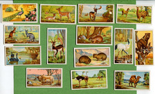 1932 B. MORRIS & SONS LTD. WHIPSNADE ZOO 14 DIFFERENT TOBACCO CARD LOT picture