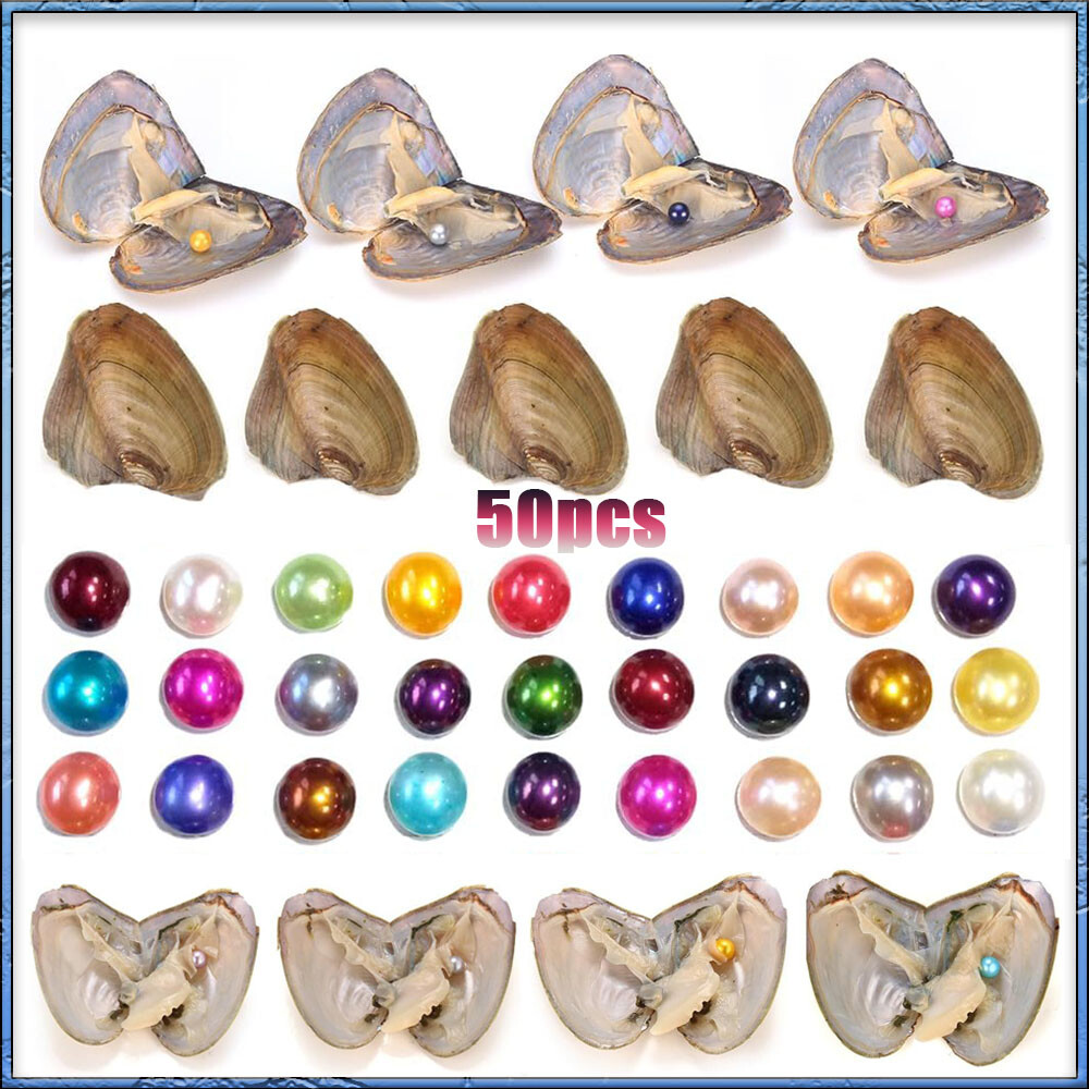 50x Fresh Oysters with Pearls Freshwater Pearl Individually Wrapped jewelry Gift 50x Fresh Oysters with Pearls Freshwater Pearl Individually Wrapped jewelry Gift