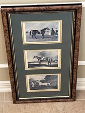 Vintage Framed Trio Horse Prints Wall Art Equestrian Study picture