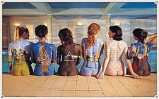 ROCK BAND FLOYD WOMEN BACK ALBUM COVERS POSTER - NEW 24X36 - PRINT IMAGE PHOTO picture