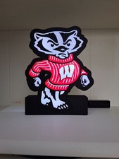 Wisconsin Badgers Bucky LED Light Box Sign NCAA College Sports Decor picture