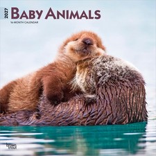 Baby Animals | 2027 12x24" (Hanging) Monthly Wall Calendar | Plastic-Free picture