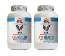 dog eye problems - DOG EYE HEALTH SOLUTION - dog eye support 2B picture