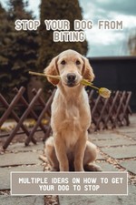 Stop Your Dog From Biting: Multiple Ideas On How To Get Your Dog To Stop picture