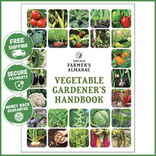 PLANTING VEGETABLE GARDENERS HANDBOOK Practical Gardening Tips Harvesting Guide picture