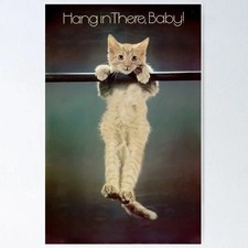 Hang In There Cat Motivational Vintage Poster picture