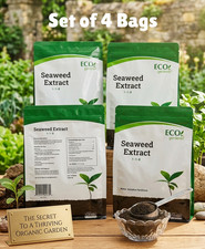 Seaweed Extract Powder Organic Fertilizer Foliar Feed & Soil Drench 8.82lb Total picture