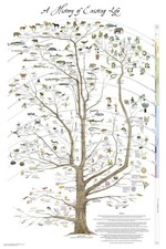 Tree of Life Poster Science Poster Natural History of Existing Life picture