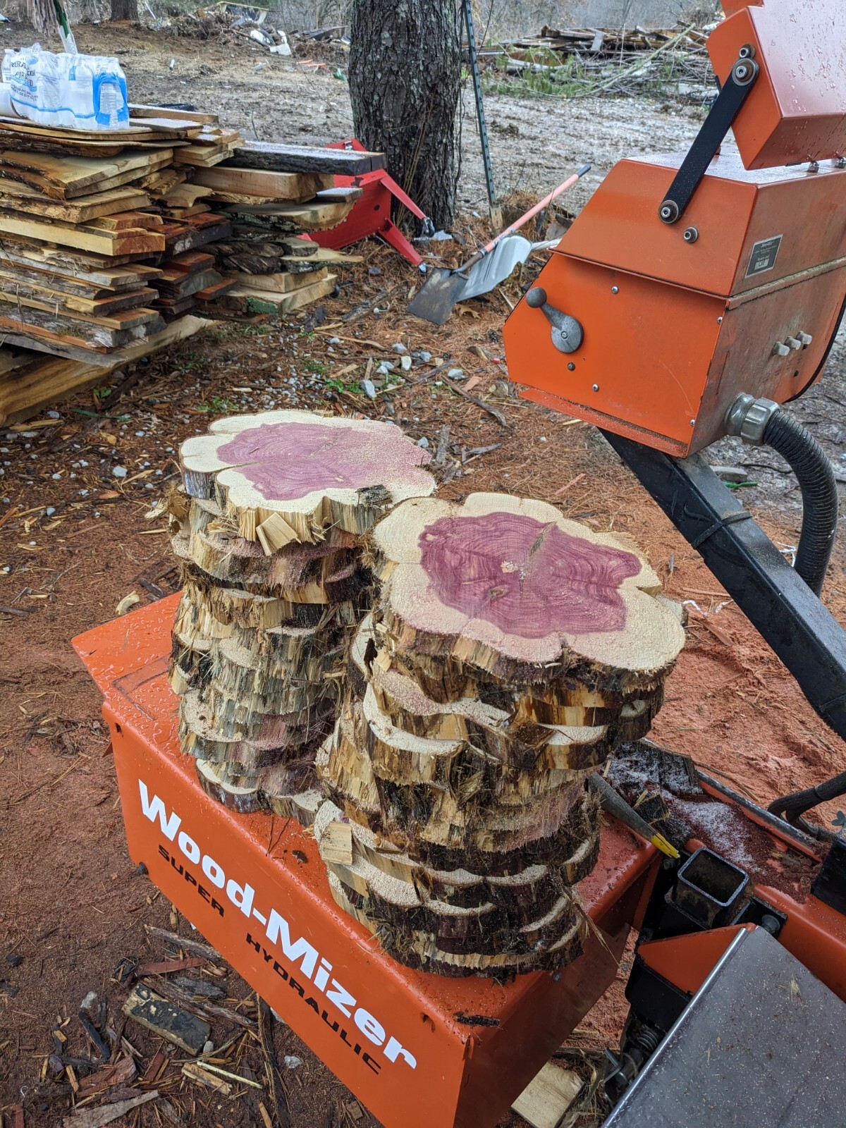 π² Red Cedar Cookies | 7β10β Round | 1β Thick | Live Edge Craft Wood Slices π² Red Cedar Cookies | 7β10β Round | 1β Thick | Live Edge Craft Wood Slices