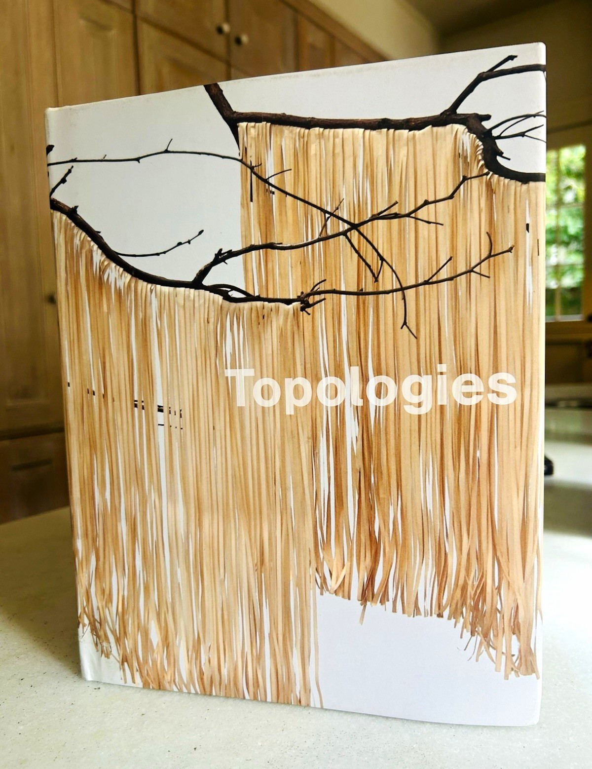 Topologies Exhibition Catalog Mika Yoshitake The Warehouse Dallas Art Book RARE