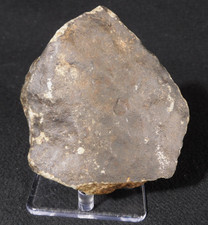 Big! N.W.A 869 Stony METEORITE with Dark Fusion Crust and REGMAGLYPTS 578gr picture