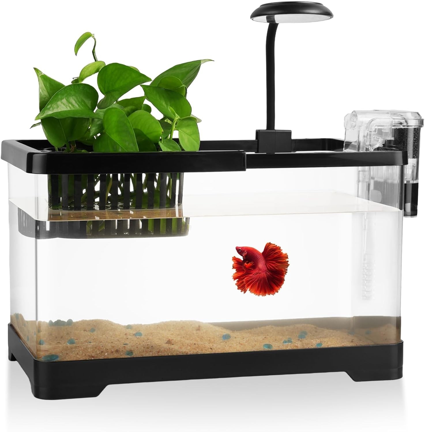 1.8 Gallon Beta Fish Tank Aquariums Kits Clear Small Fish Bowl Starter Kit 1.8 Gallon Beta Fish Tank Aquariums Kits Clear Small Fish Bowl Starter Kit