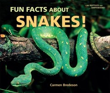 Fun Facts About Snakes! (I Like Reptiles and Amphibians!) picture