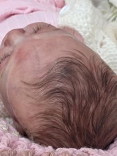 Reborn Baby Doll Artist Rose Bud Collectible Baby Girl picture