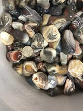 Vibrant Colors! Botswana Agates - 1lb lot - SHADOWS! Great Color Depth picture