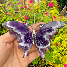 3.6" Natural Dream Amethyst Carved Butterfly Reiki Crystal Skull Decor gift 1PC picture