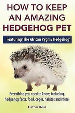 How to Keep an Amazing Hedgehog Pet. Featuring 'The African Pygmy Hedgehog'... picture