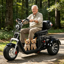 Adult Electric 3 Wheel Scooter 2000W Motor Max Speed 35-45KM/H Max Load 250KG picture
